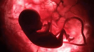 Morning sickness may protect baby in your womb