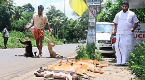 Kerala Cong(M) activists as sick as a dog!