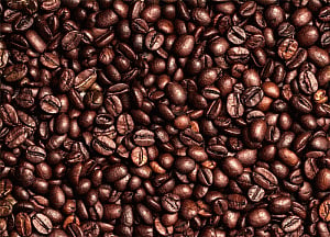 Caffeine-based compounds may slow Parkinson's progress