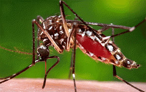 Taiwan reports 10th case of imported Zika