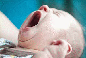 longer yawns may mean bigger brains: study