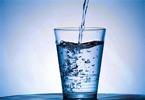 Water before meals effective strategy to lose weight: study