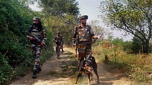 Meet soldiers whose 'bark' gave Burhan Wani his just deserts