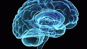 Muscle strength may help to improve brain function