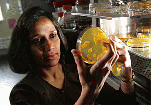 First drug-resistant fungal infections identified in US