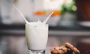 Whole-fat milk may make kids leaner: study