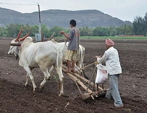 Farmers allowed to use old Rs 500 notes for buying seeds