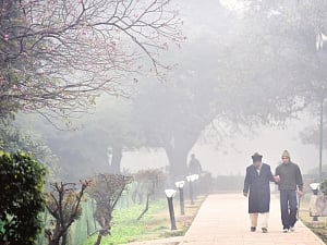 Global warming takes chill off this winter