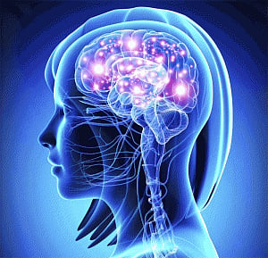 Novel AI technique can help brain overcome fear