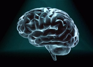 Brain circuits linked to stuttering identified
