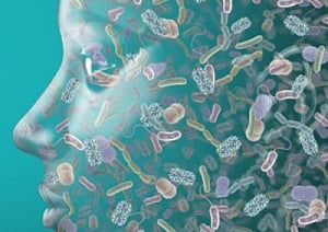 Deadly sleeping sickness can also be spread via skin