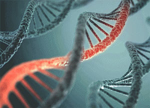 Blocking this protein may help combat HIV