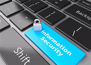 Cyber looters lurk in the digital economy