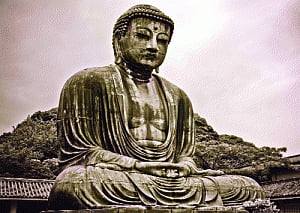The larger message in Buddha's teachings
