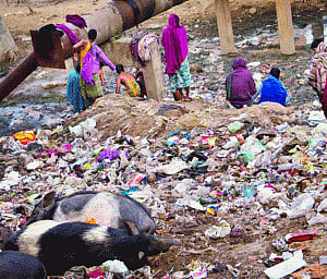 Preventing the assault on our environment