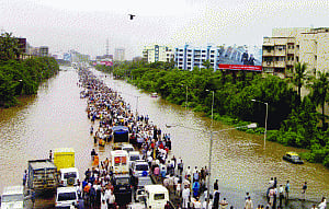life and living in  the Anthropocene