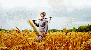 Indian farmers facing a Frankenstein moment?