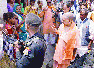 legacy headache for Yogi