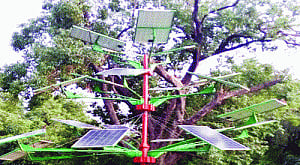 let's plant more solar trees around