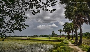 A Monsoon Requiem for Times long Past