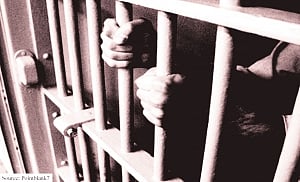 Batting for personal liberty