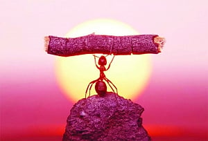 Astroturf : Explore self to be at one's best