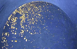 Gold all yours to sift from this river