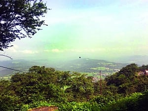 Gujarat's green mile