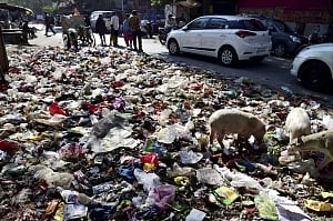 Pay salaries to  sanitation staff  on time: NGT