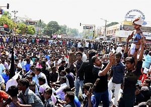 TN demonstrators demand Jallikattu before calling off protests
