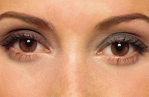 Why our eyes don't blur when we blink