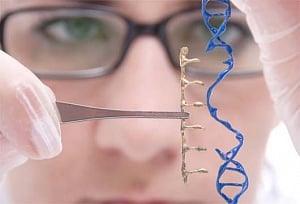 Genetic link to rare developmental delays in kids identified