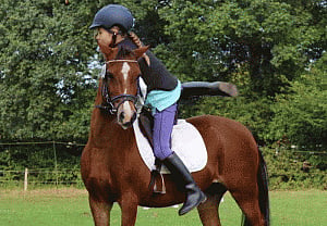 Horse-riding may boost cognitive skill in kids
