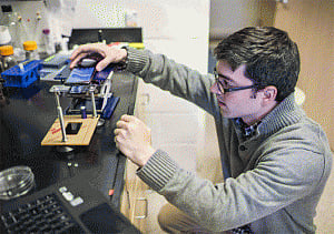 Synthetic DNA motor to improve cancer detection, drug delivery