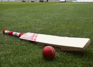 Players can be sent off under new cricket laws