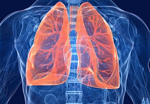 New method could maintain donor lung outside body for a week