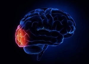 Head injuries can affect hundreds of genes