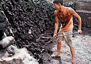 Coal controller to introduce 'hallmarking'