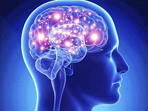 Over 100 genes linked to memory in humans identified