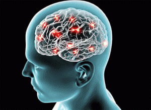 Brain's GPS also helps in forming new memories