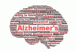 Natural compound may help fight Alzheimer's disease
