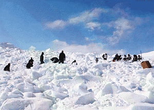J&K avalanche: Three soldiers dead in Batalik sector