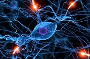 26 new genes linked to intellectual disability identified