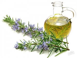 Rosemary aroma can boost memory in kids