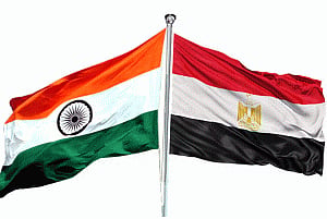 India to hold festival in Egypt to mark Tagore's birth anniv