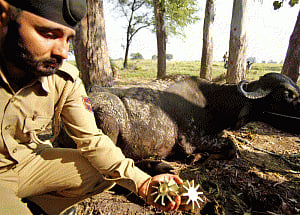 Pak troops fire 120 mm mortar bombs along loC in Rajouri