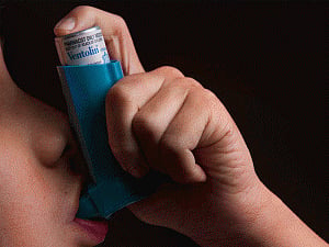 'Asthma deaths to rise 20% if steps not taken against climate change'