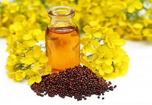 Why mustard oil may be healthy for your heart