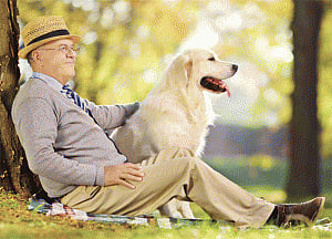 Owning a dog may make elderly more active