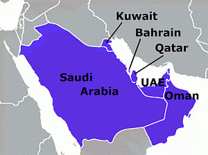 Gulf countries assure India of welfare of diaspora amid Qatar crisis
